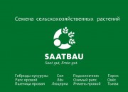 Семена   СААТБАУ Линц  |   SAATBAU Linz